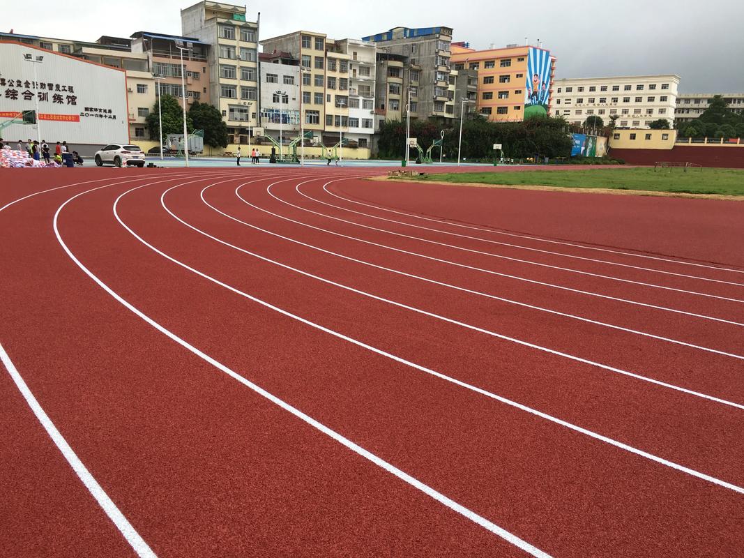 广元市硅PU材料塑胶跑道材料 - 厂家